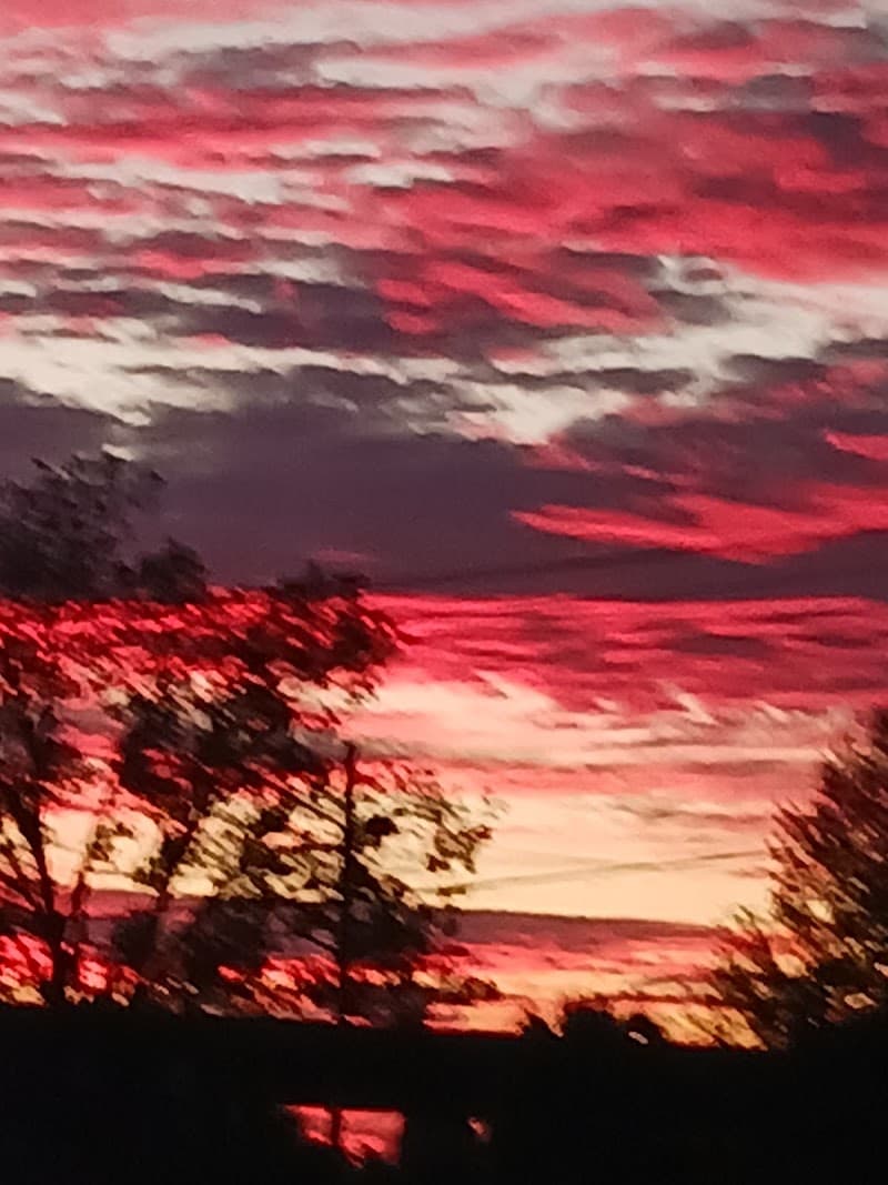 The Sports Shop 1039 Albany Ave waycross, Ga 31501