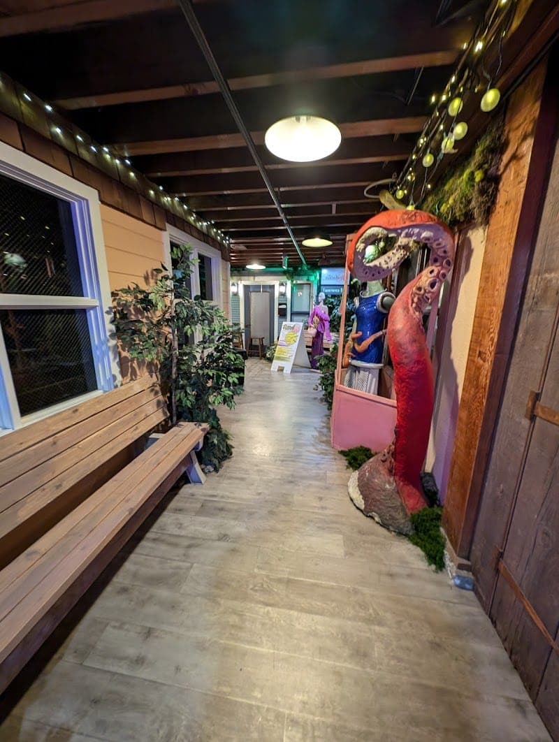 Hidden Underground Experience